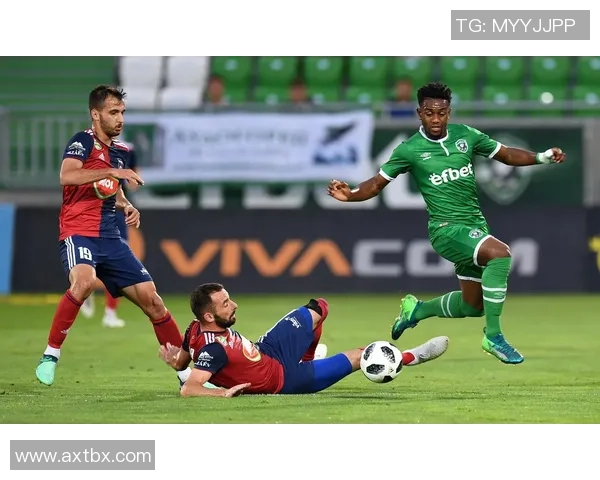 卢多格德斯与维迪奥顿新浪对决精彩回顾与赛后分析